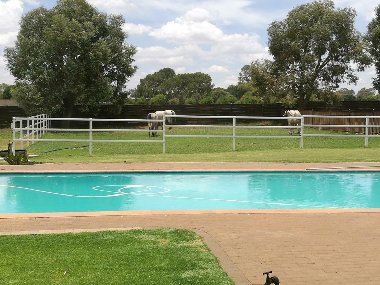 Krige Lodge B&B Bloemfontein Dış mekan fotoğraf